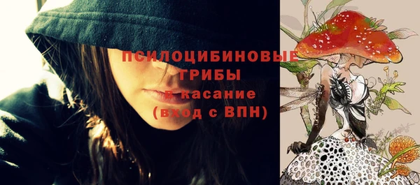 apvp Заволжск